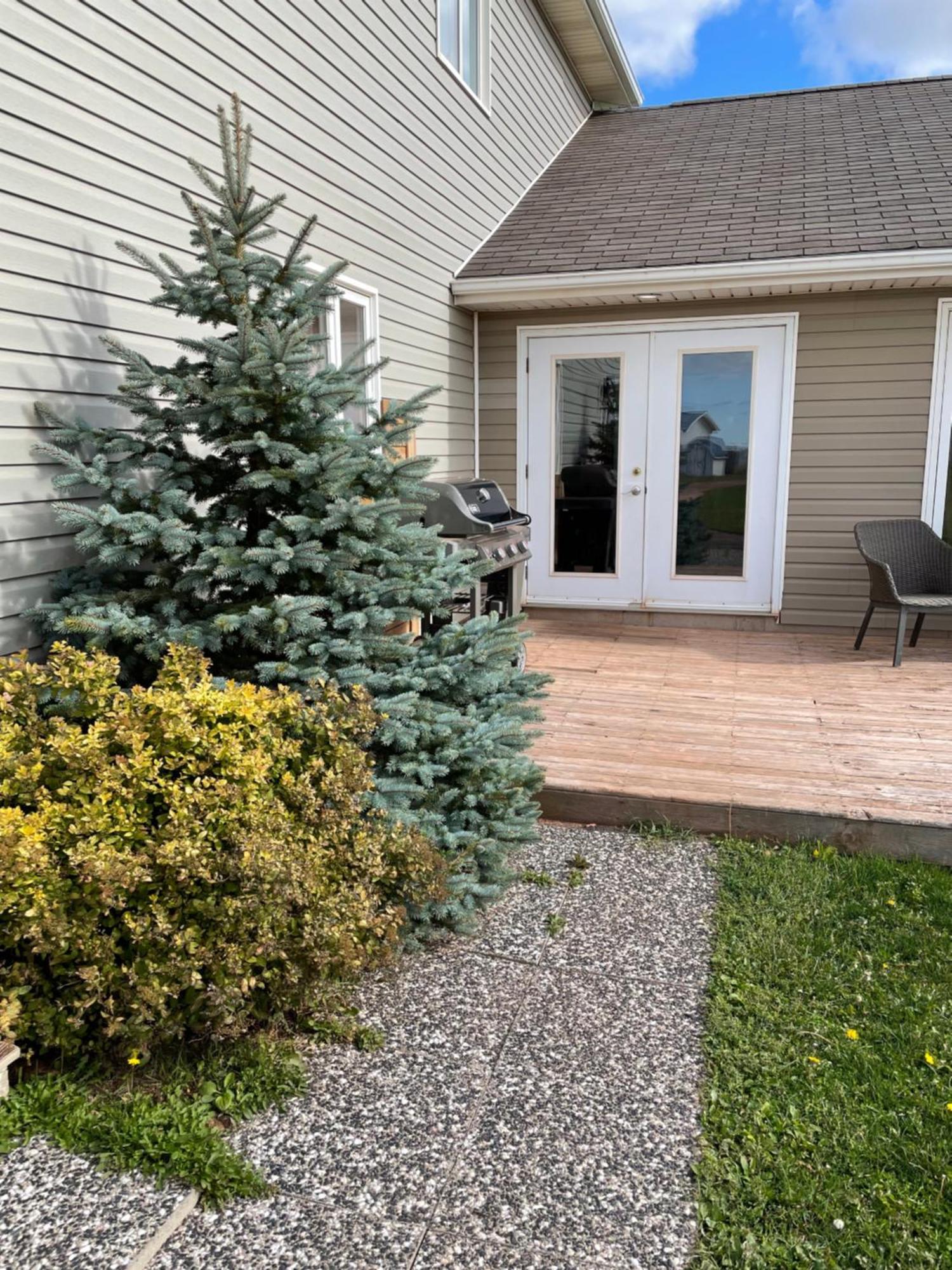 Pei Cottage Rental Borden-Carleton Ngoại thất bức ảnh